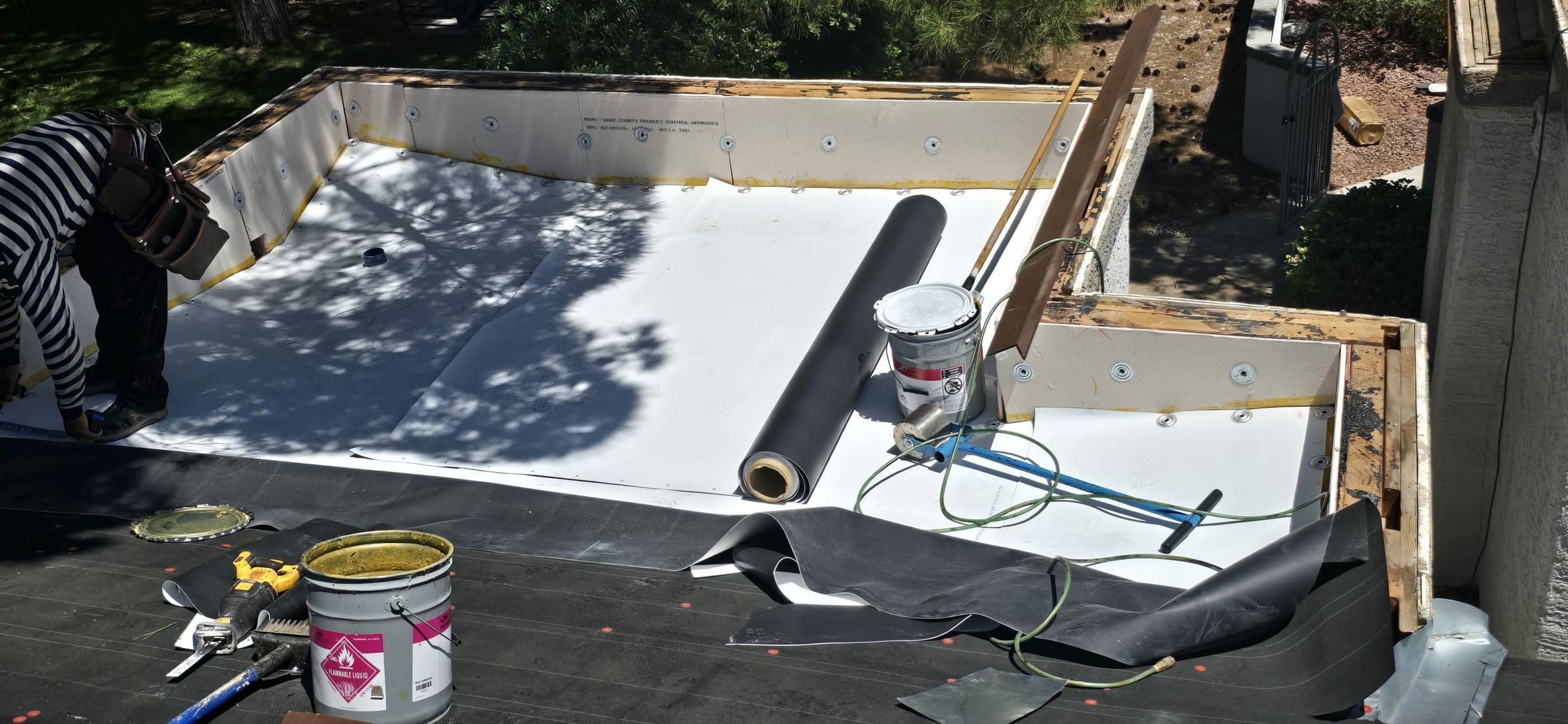 membrane going on